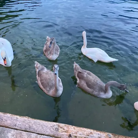 Lakeside 2 - Mit Gartenzugang Privatunterkunft Hallstatt